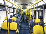Marcopolo Torino G8 2013 года